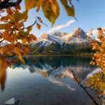 fall in Canada